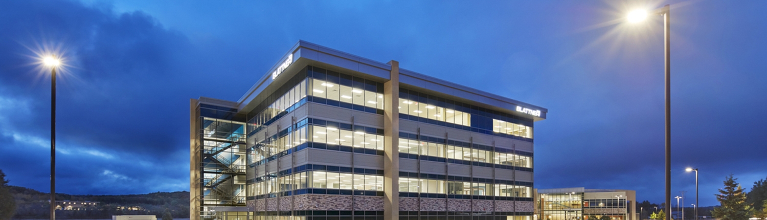 Project-Page_Blattner_Header