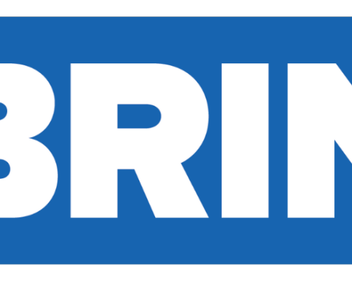 Brin Logo
