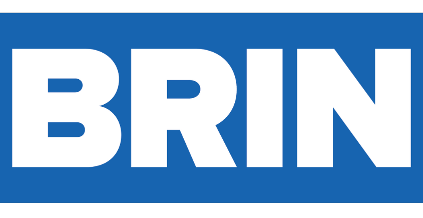 Brin Logo